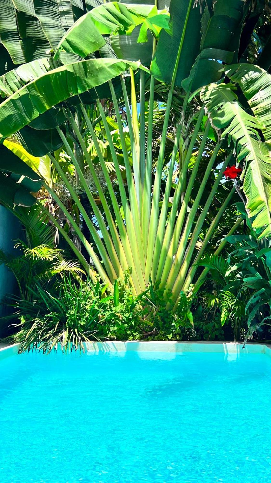 Castelo Pink Boutique Hotel أوراو المظهر الخارجي الصورة